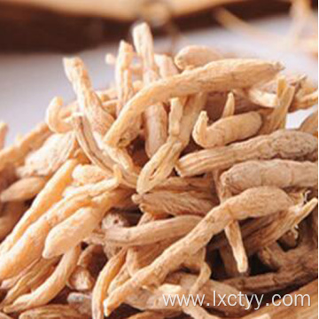 korean red ginseng root